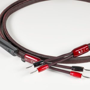 AUDIOQUEST WILLIAM TELL 2X8' (DÉMO).