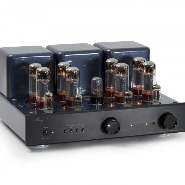 CAYIN CS-100A – Image 6