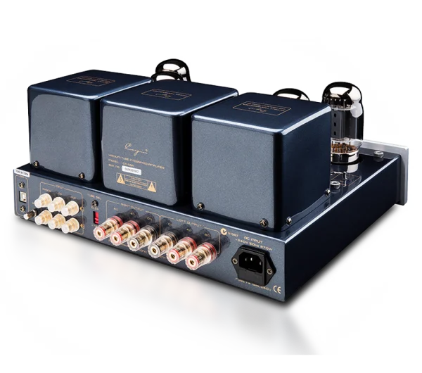 CAYIN CS-55 – Image 6