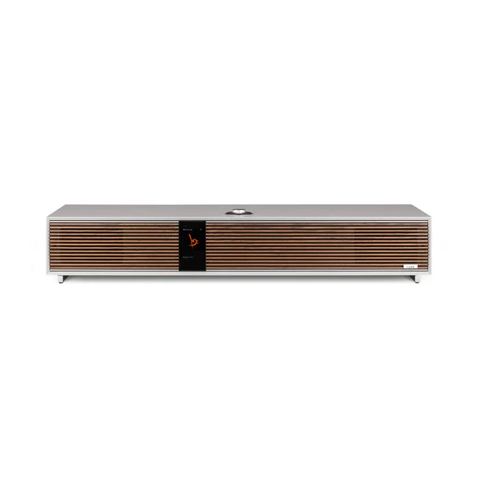 RUARK R810