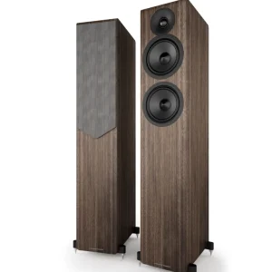 Acoustic Energy AE309²