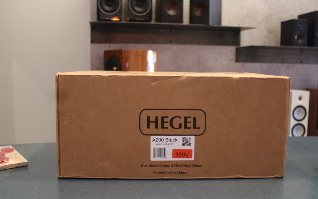 Un Hegel pure analogue!